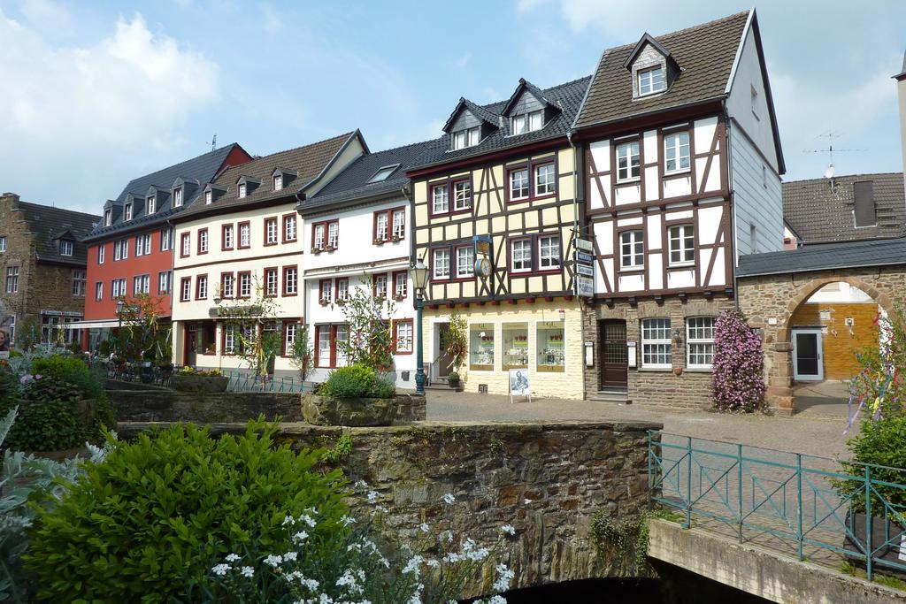 Ferienwohnung Orchidee Bad Muenstereifel Cameră foto